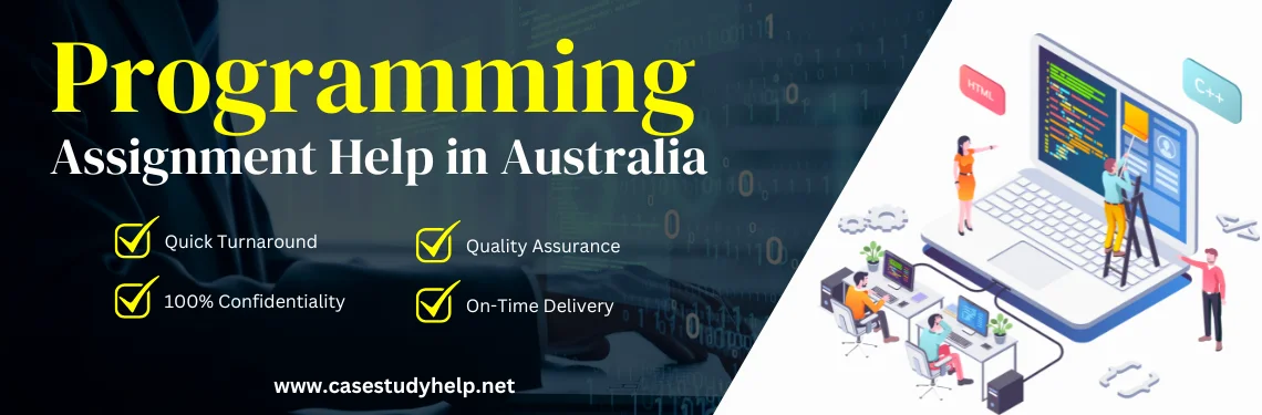 programming assignment help